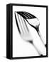 Fork with Shadow-null-Framed Stretched Canvas