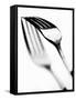 Fork with Shadow-null-Framed Stretched Canvas