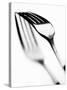 Fork with Shadow-null-Stretched Canvas