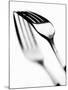 Fork with Shadow-null-Mounted Photographic Print