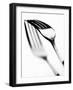 Fork with Shadow-null-Framed Photographic Print