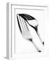 Fork with Shadow-null-Framed Photographic Print