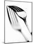 Fork with Shadow-null-Mounted Photographic Print