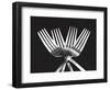 Forks-Mike Feeley-Framed Art Print