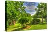 Formal Garden Trees-Robert Goldwitz-Stretched Canvas