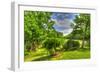 Formal Garden Trees-Robert Goldwitz-Framed Photographic Print