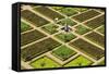 Formal Gardens, Chateau of Villandry, Indre Et Loire, Loire Valley, France-Peter Adams-Framed Stretched Canvas