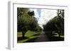 Formal Hudson River Garden-Robert Goldwitz-Framed Photographic Print