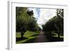 Formal Hudson River Garden-Robert Goldwitz-Framed Photographic Print