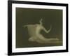 Formal Nude Study, C.1920-Arnold Genthe-Framed Giclee Print