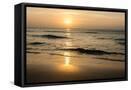 Framed Canvas