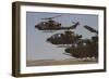 Formation Landing of Ah-1 Tzefa Helicopters from the Israel Air Force-Stocktrek Images-Framed Photographic Print