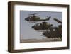 Formation Landing of Ah-1 Tzefa Helicopters from the Israel Air Force-Stocktrek Images-Framed Photographic Print