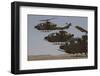 Formation Landing of Ah-1 Tzefa Helicopters from the Israel Air Force-Stocktrek Images-Framed Photographic Print