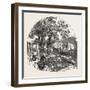 Formation of a Bridge by the Mormons, 1851-null-Framed Giclee Print