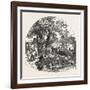 Formation of a Bridge by the Mormons, 1851-null-Framed Giclee Print