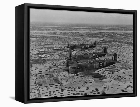 Formation of Spitfires Over North Africa, circa 1943-null-Framed Stretched Canvas