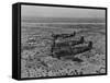 Formation of Spitfires Over North Africa, circa 1943-null-Framed Stretched Canvas