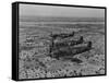 Formation of Spitfires Over North Africa, circa 1943-null-Framed Stretched Canvas