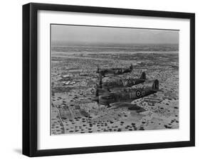 Formation of Spitfires Over North Africa, circa 1943-null-Framed Photo