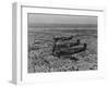 Formation of Spitfires Over North Africa, circa 1943-null-Framed Photo