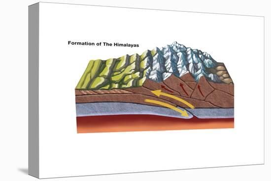 Formation of the Himalayas-Spencer Sutton-Stretched Canvas