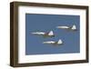 Formation of Turkish Air Force T-38A Talon's over Izmir, Turkey-Stocktrek Images-Framed Photographic Print