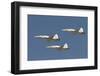 Formation of Turkish Air Force T-38A Talon's over Izmir, Turkey-Stocktrek Images-Framed Photographic Print