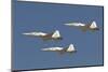 Formation of Turkish Air Force T-38A Talon's over Izmir, Turkey-Stocktrek Images-Mounted Photographic Print