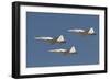 Formation of Turkish Air Force T-38A Talon's over Izmir, Turkey-Stocktrek Images-Framed Photographic Print