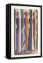 Formation, Tri-Partition, 1926-Oskar Schlemmer-Framed Stretched Canvas