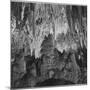 Formations Along Wall Of Big Room, Crystal Spring Home Carlsbad Caverns NP New Mexico. 1933-1942-Ansel Adams-Mounted Art Print
