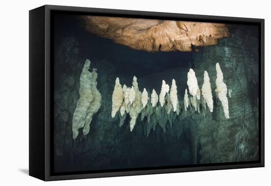 Formations in Chandelier Dripstone Cave, Micronesia, Palau-Reinhard Dirscherl-Framed Stretched Canvas