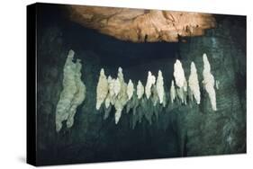Formations in Chandelier Dripstone Cave, Micronesia, Palau-Reinhard Dirscherl-Stretched Canvas