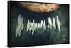 Formations in Chandelier Dripstone Cave, Micronesia, Palau-Reinhard Dirscherl-Framed Stretched Canvas