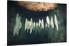 Formations in Chandelier Dripstone Cave, Micronesia, Palau-Reinhard Dirscherl-Stretched Canvas