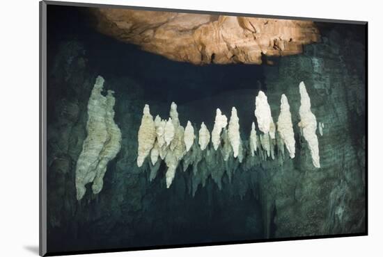 Formations in Chandelier Dripstone Cave, Micronesia, Palau-Reinhard Dirscherl-Mounted Photographic Print