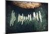 Formations in Chandelier Dripstone Cave, Micronesia, Palau-Reinhard Dirscherl-Mounted Photographic Print