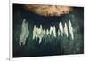 Formations in Chandelier Dripstone Cave, Micronesia, Palau-Reinhard Dirscherl-Framed Photographic Print