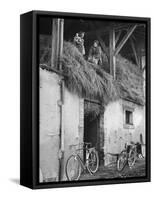 Former GI Ernest Kreiling Showing His Bride the Hayloft Where He Spent Thanksgiving 1944-null-Framed Stretched Canvas