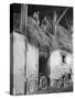 Former GI Ernest Kreiling Showing His Bride the Hayloft Where He Spent Thanksgiving 1944-null-Stretched Canvas