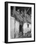 Former GI Ernest Kreiling Showing His Bride the Hayloft Where He Spent Thanksgiving 1944-null-Framed Premium Photographic Print