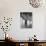 Former GI Ernest Kreiling Showing His Bride the Hayloft Where He Spent Thanksgiving 1944-null-Photographic Print displayed on a wall