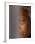 Former South African President Nelson Mandela-null-Framed Premium Photographic Print