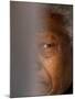 Former South African President Nelson Mandela-null-Mounted Premium Photographic Print