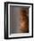 Former South African President Nelson Mandela-null-Framed Photographic Print