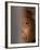 Former South African President Nelson Mandela-null-Framed Photographic Print