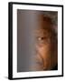 Former South African President Nelson Mandela-null-Framed Photographic Print