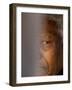 Former South African President Nelson Mandela-null-Framed Photographic Print