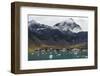 Former whaling station Grytviken, South Georgia, Antarctica, Polar Regions-Michael Runkel-Framed Photographic Print